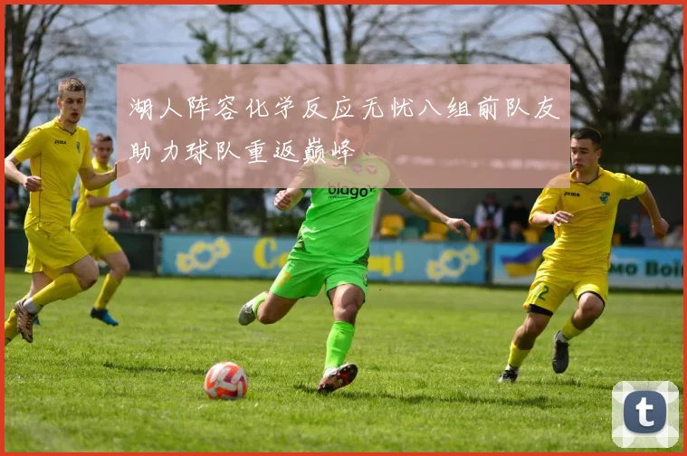 湖人阵容化学反应无忧八组前队友助力球队重返巅峰