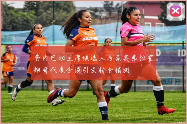 费内巴切主席候选人与莱奥弗拉霍维奇代表会谈引发转会猜测